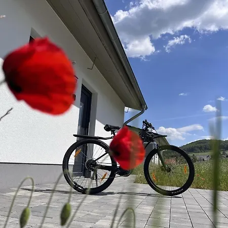 Diemelblick 39 Mit Hund - Direkt Am Mit Sauna, Terrasse Und Garten Fuer Bis Zu 5 Personen * Diemelsee