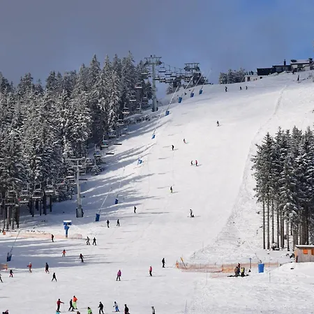 Casa vacanze Diemelblick 39 Mit Hund - Direkt Am Mit Sauna, Terrasse Und Garten Fuer Bis Zu 5 Personen