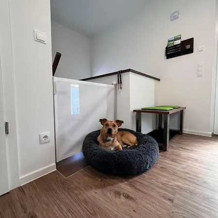 Diemelblick 39 Mit Hund - Direkt Am Mit Sauna, Terrasse Und Garten Fuer Bis Zu 5 Personen Nyaraló *