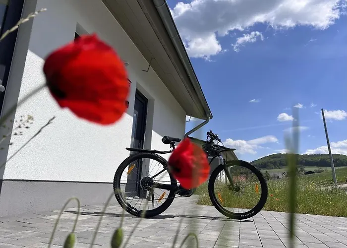 Diemelblick 39 Mit Hund - Direkt Am Mit Sauna, Terrasse Und Garten Fuer Bis Zu 5 Personen * Diemelsee