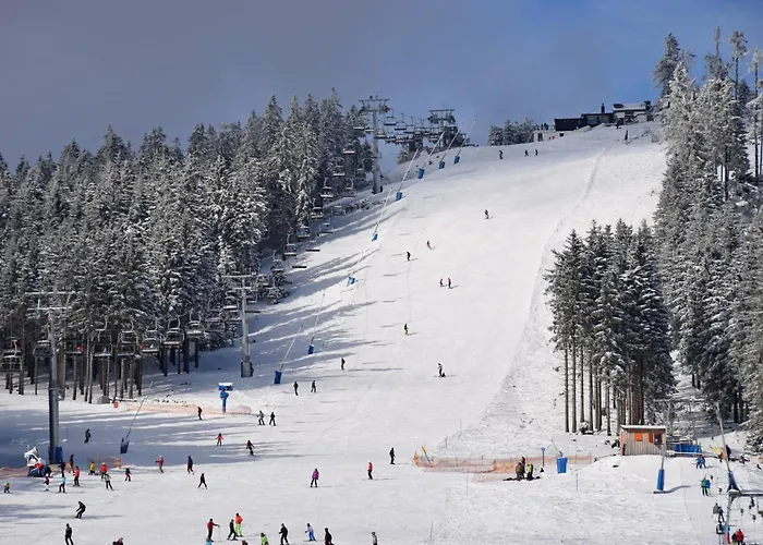 Holiday home Diemelblick 39