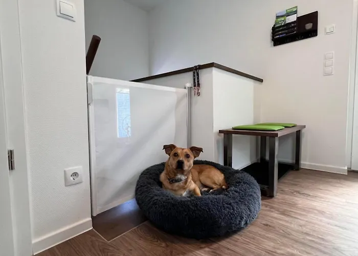 Diemelblick 39 Mit Hund - Direkt Am Mit Sauna, Terrasse Und Garten Fuer Bis Zu 5 Personen 度假居 *